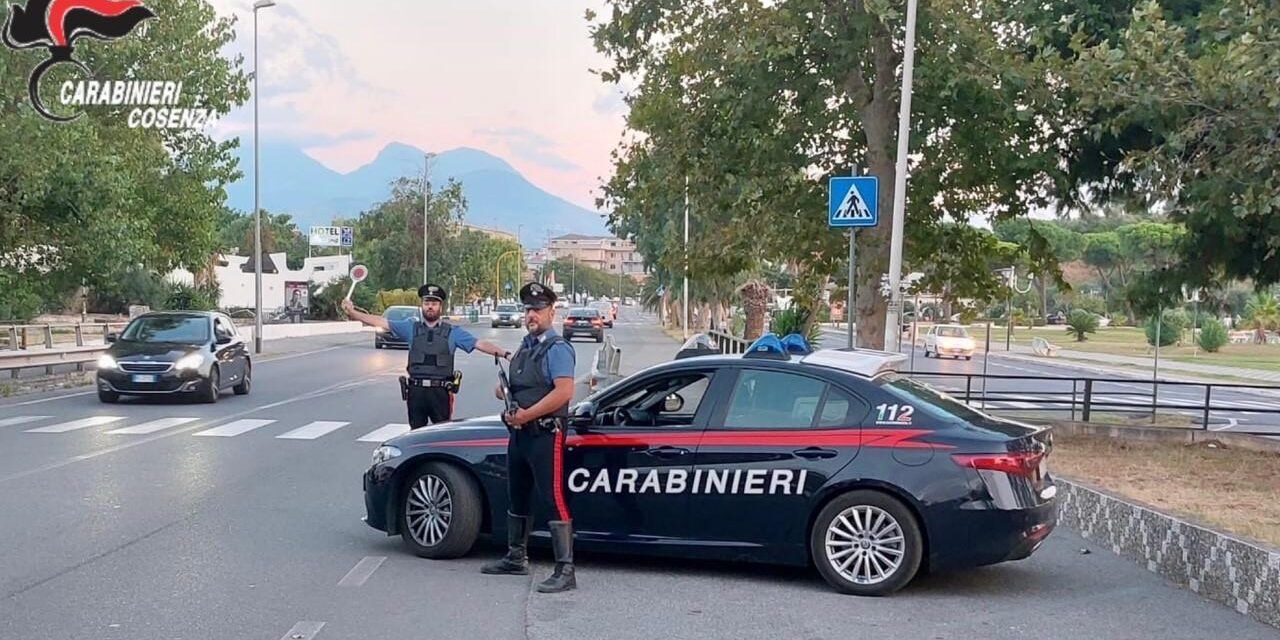 Belvedere Marittimo, arrestato per la detenzione di un notevole quantitativo di marijuana