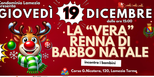 renna babbo natale oipa lamezia