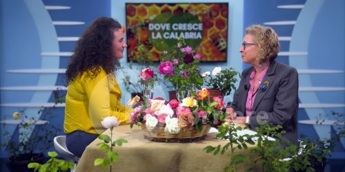 Marianna Adilardi - La Rosa della Torre (Ricadi)