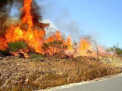 Denunciato a Bologna un piromane “seriale” cosentino