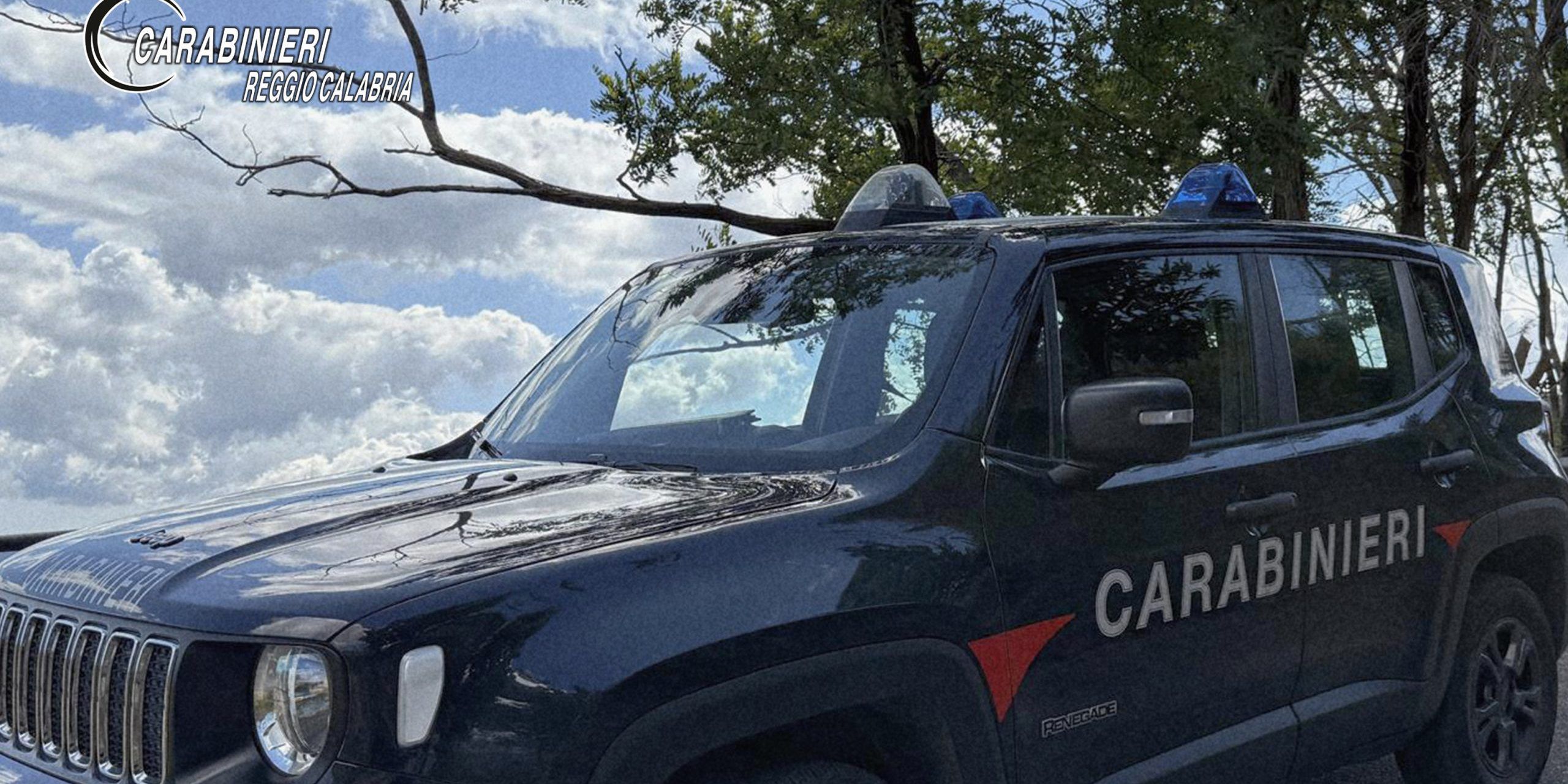 Pesce venduto dal bagagliaio di un’auto senza ghiaccio, uomo denunciato a Villa San Giovanni