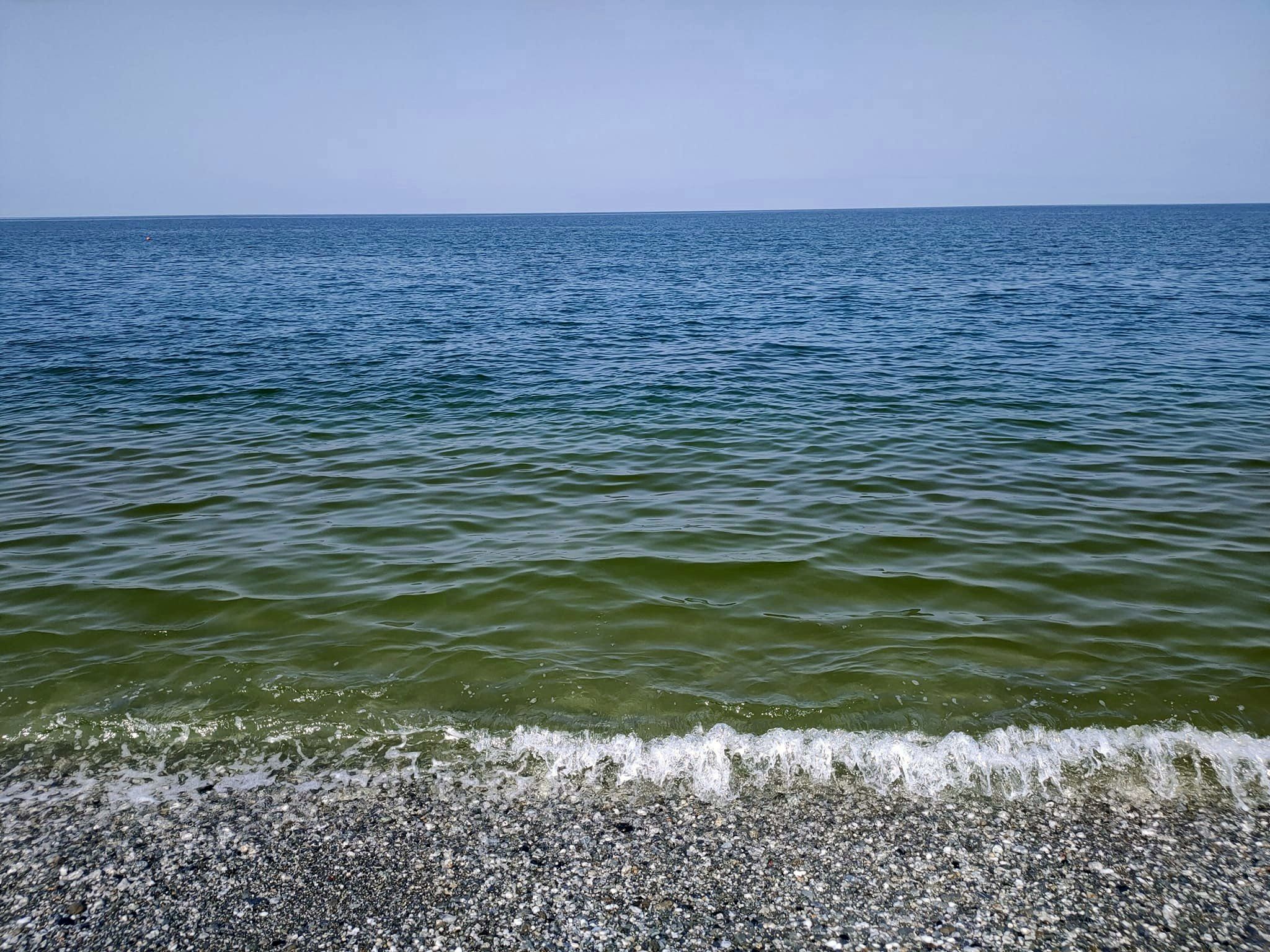 Mancato collettamento e scarichi abusivi: il pericolo del mare arriva via terra