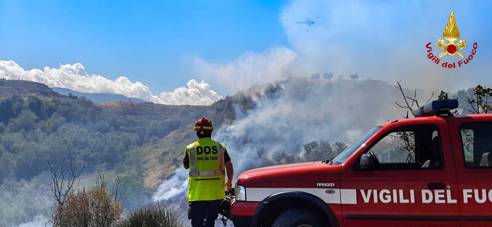Vasto incendio tra Castrolibero e Cosenza, uliveti distrutti