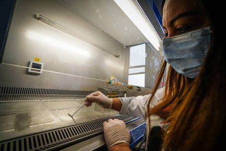 Coronavirus, 15 nuovi contagi nel Vibonese. Timori a Drapia: infettato medico di famiglia