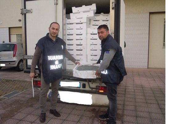 Cosenza, sequestrata oltre una tonnellata di novellame di sarda