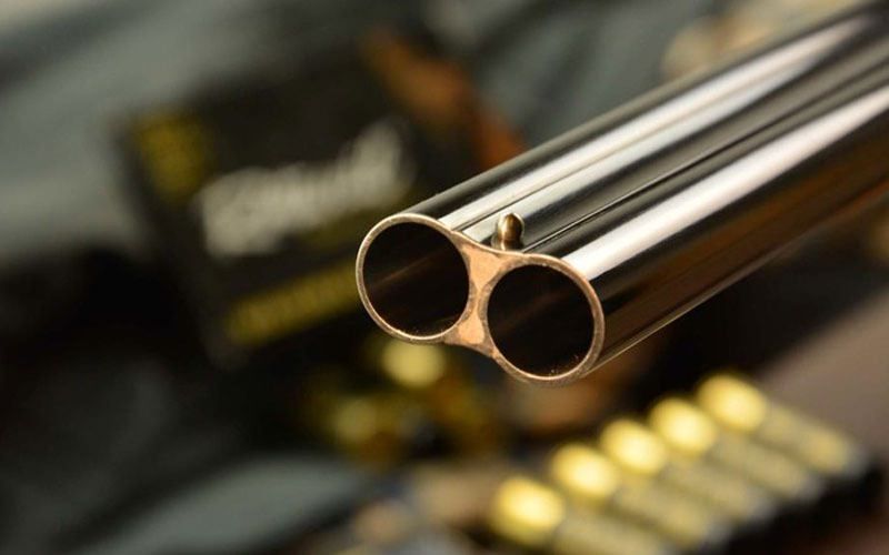 Ferisce un 25enne a colpi di fucile, si costituisce giovane calabrese