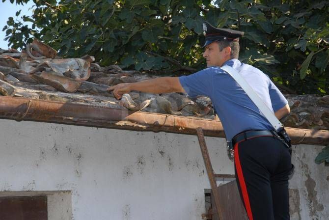 Scoperto in un fondo agricolo arsenale abusivo a gestione familiare