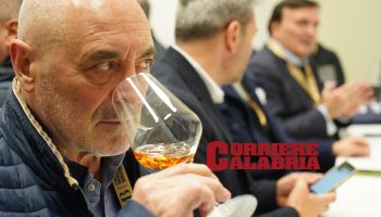 Cirò ospita il Concours Mondial de Bruxelles, i rosati calabresi protagonisti nel mondo. Gallo: «Il nostro racconto migliore»