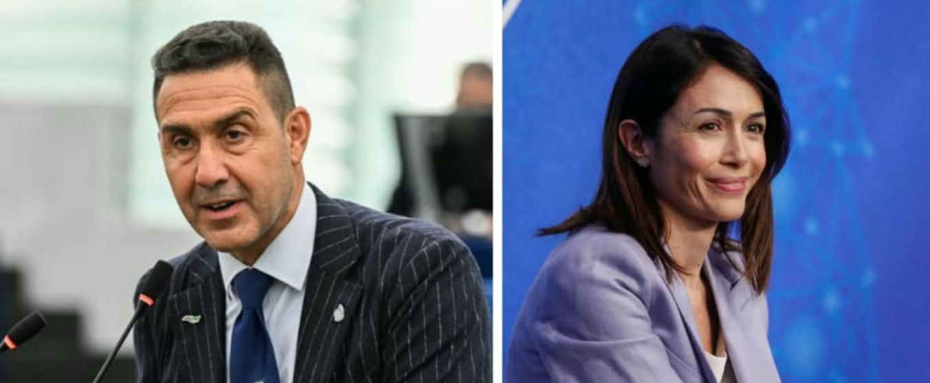Vannacci ai calabresi: «Suppletive ultimo treno per la dignità di questa terra». Carfagna: «Vuole riportarvi indietro»