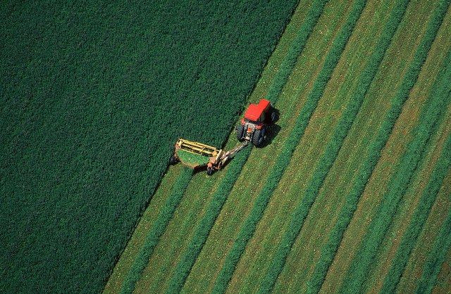 Agricoltura, al via i bandi "misure a superficie" del Psr