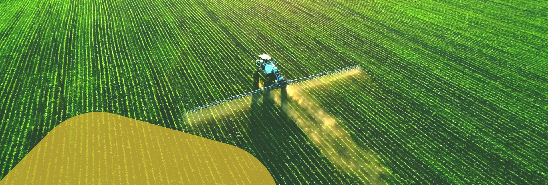 Glifosato, Confagricoltura all’Ue: «Proposta tenga conto delle evidenze scientifiche»