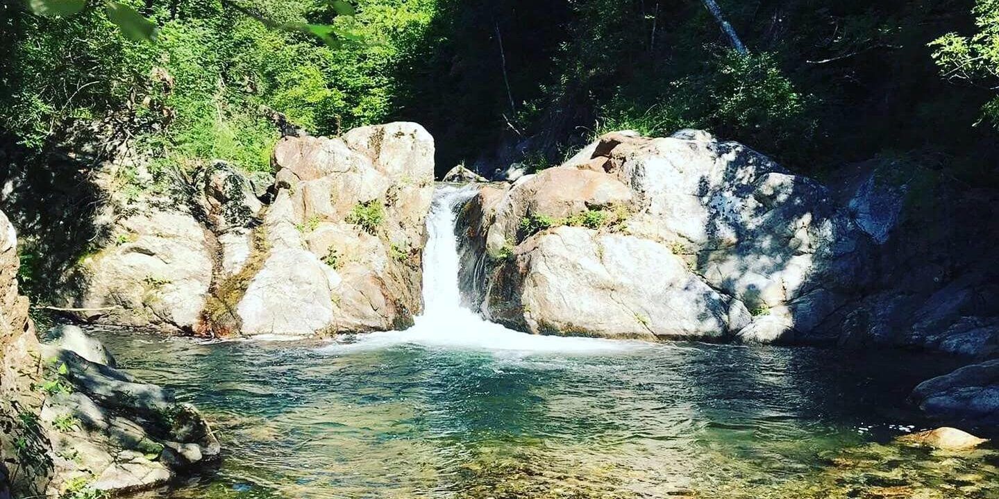 L’ultima “passione” della politica calabrese: le Riserve naturali regionali