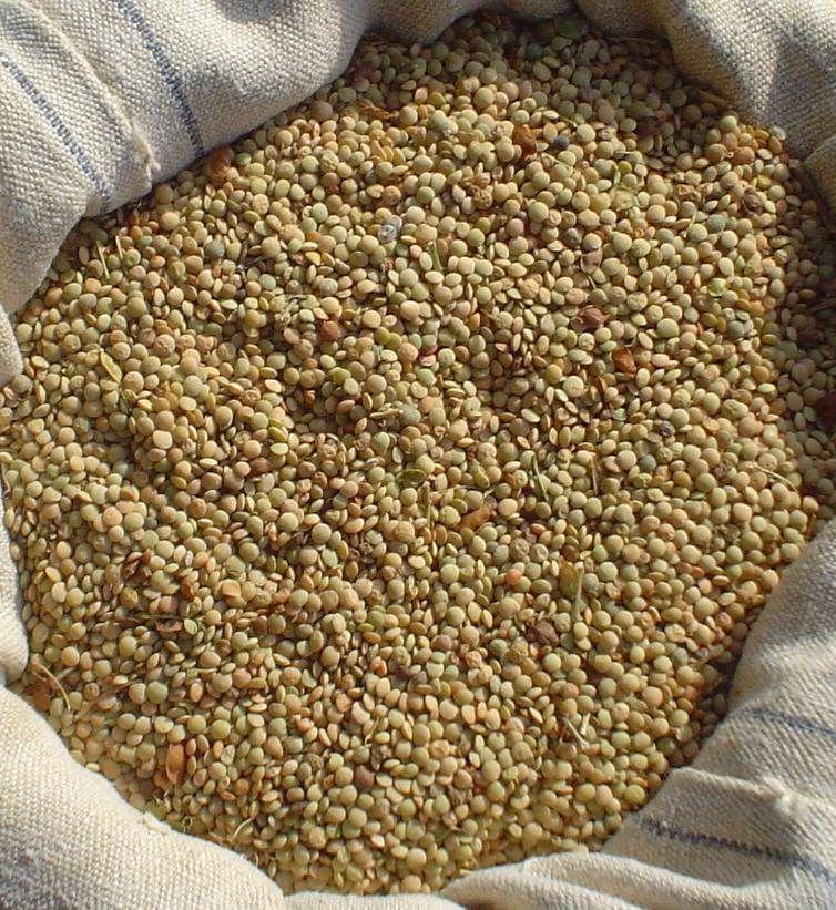 «Ripartiamo dalla biodiversità dei legumi calabresi»