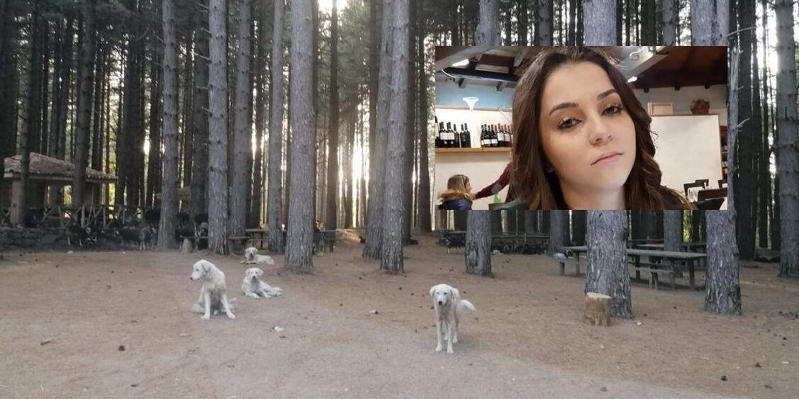 Parco pubblico a Soverato per ricordare Simona, uccisa da un branco di cani
