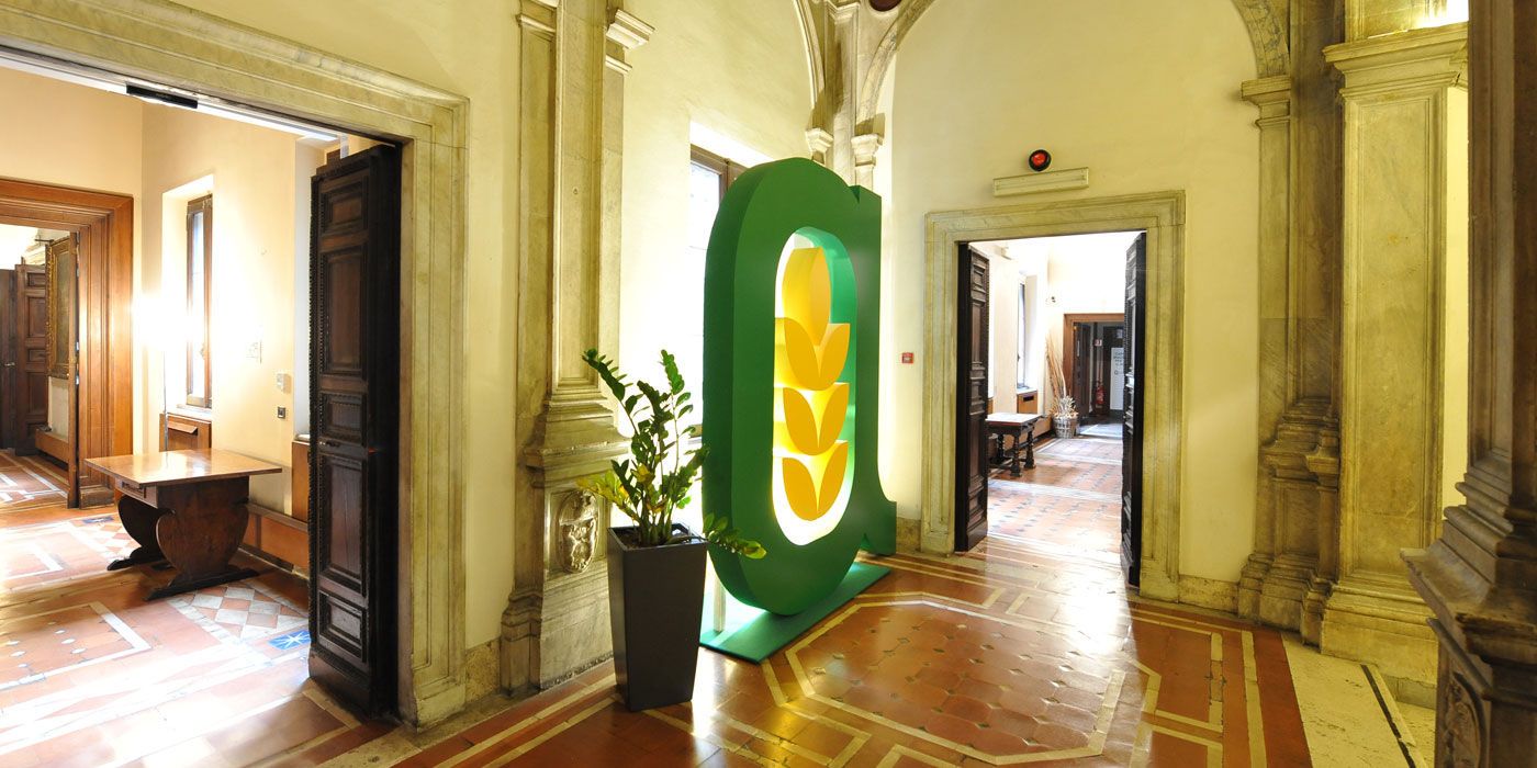 Prezzi dell’olio extravergine, Confagricoltura al Governo: «Serve intervento urgente»