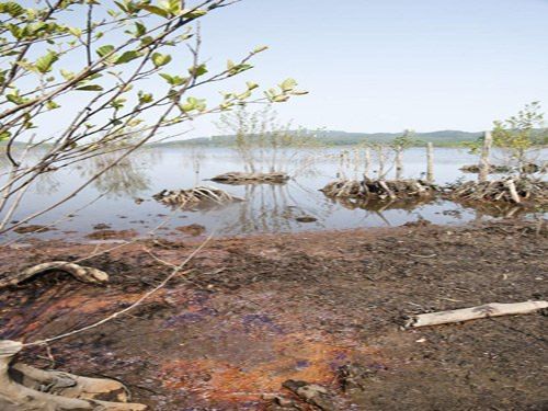 «Anche l'Europa si occuperà dell'Alaco»