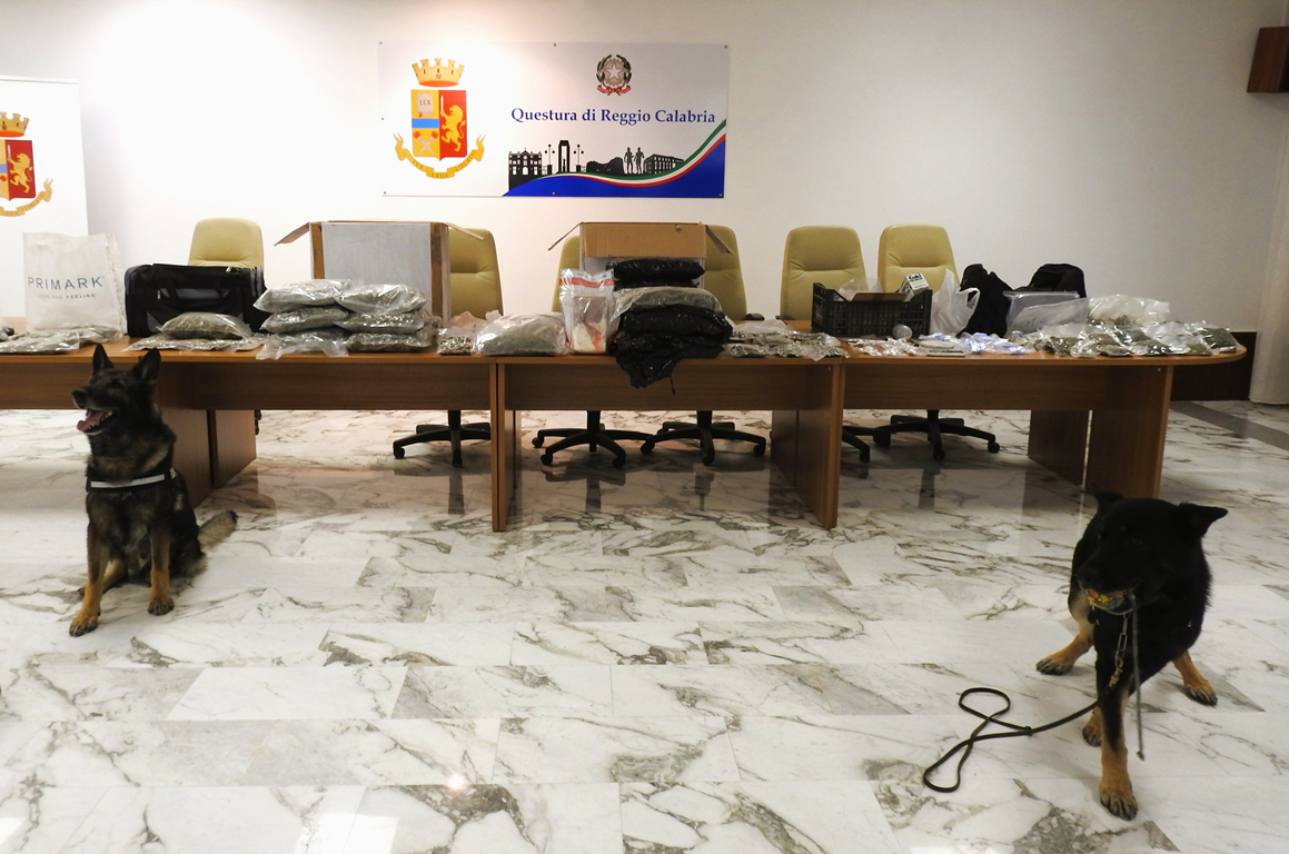 Nascondeva droga all’interno di un casolare, un arresto a Reggio