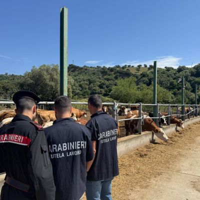 Operai in nero vivevano in un capannone, sanzionata un’azienda agricola nel Catanzarese