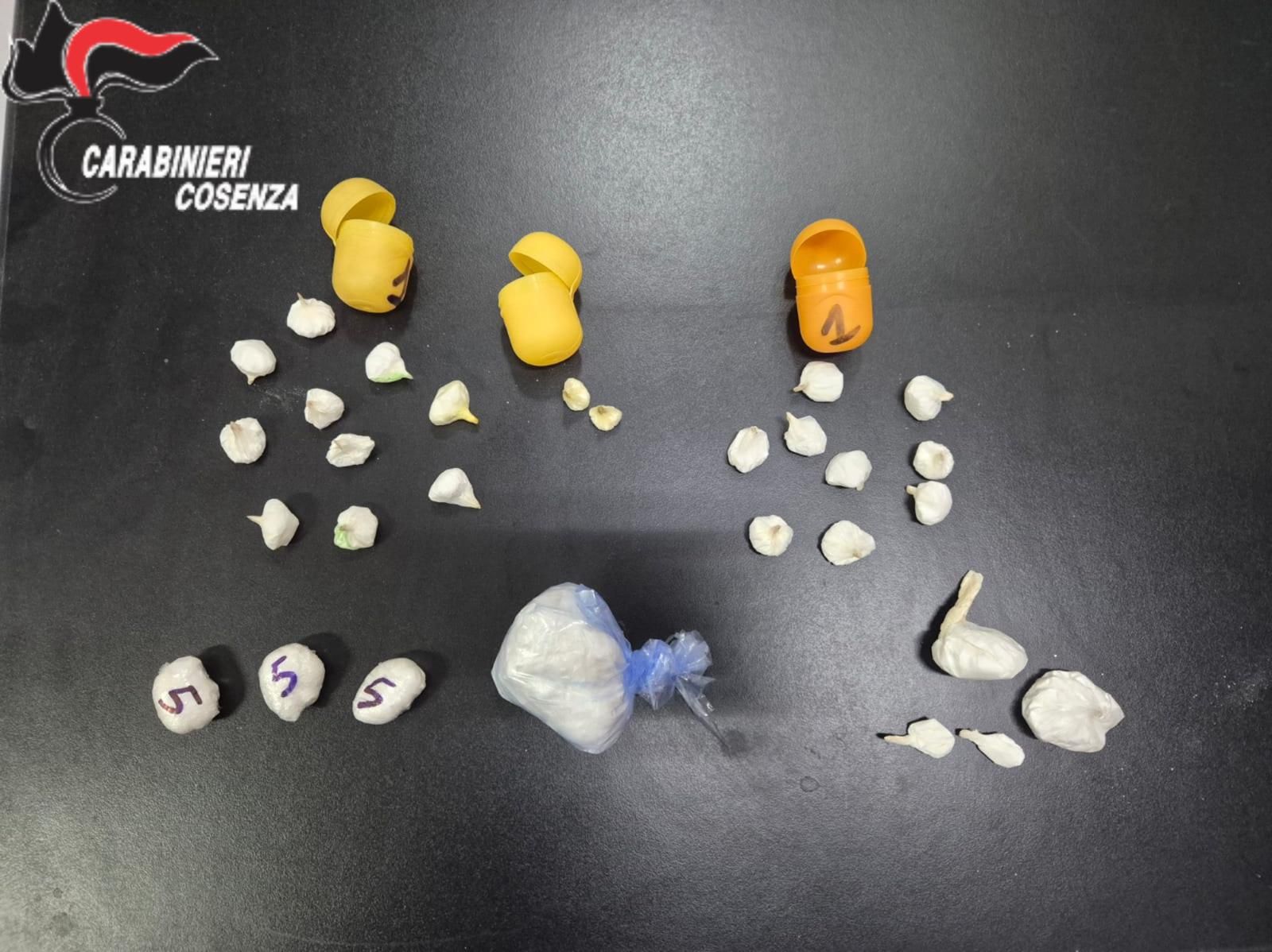 Trovati con cocaina all’interno del furgone, due arresti nel Cosentino