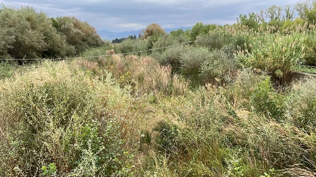 Rischi idrogeologici a Corigliano Rossano, Novello: «Metteremo mano ad alvei e argini dei corsi d’acqua» – VIDEO
