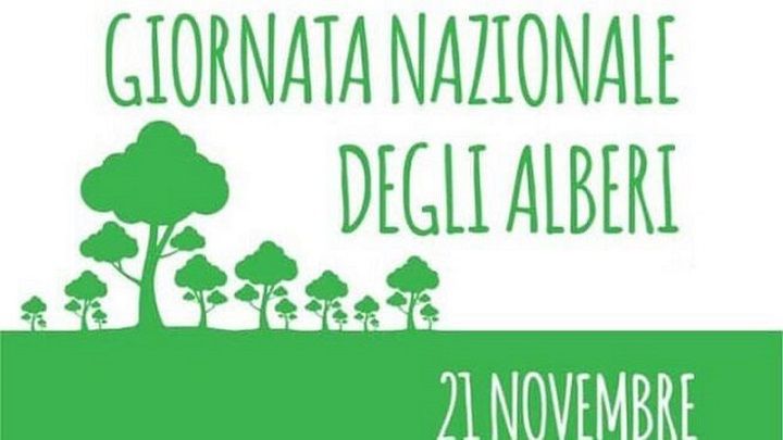Giornata nazionale degli alberi, Confagricoltura: «Risorsa per il pianeta e per l’umanità»
