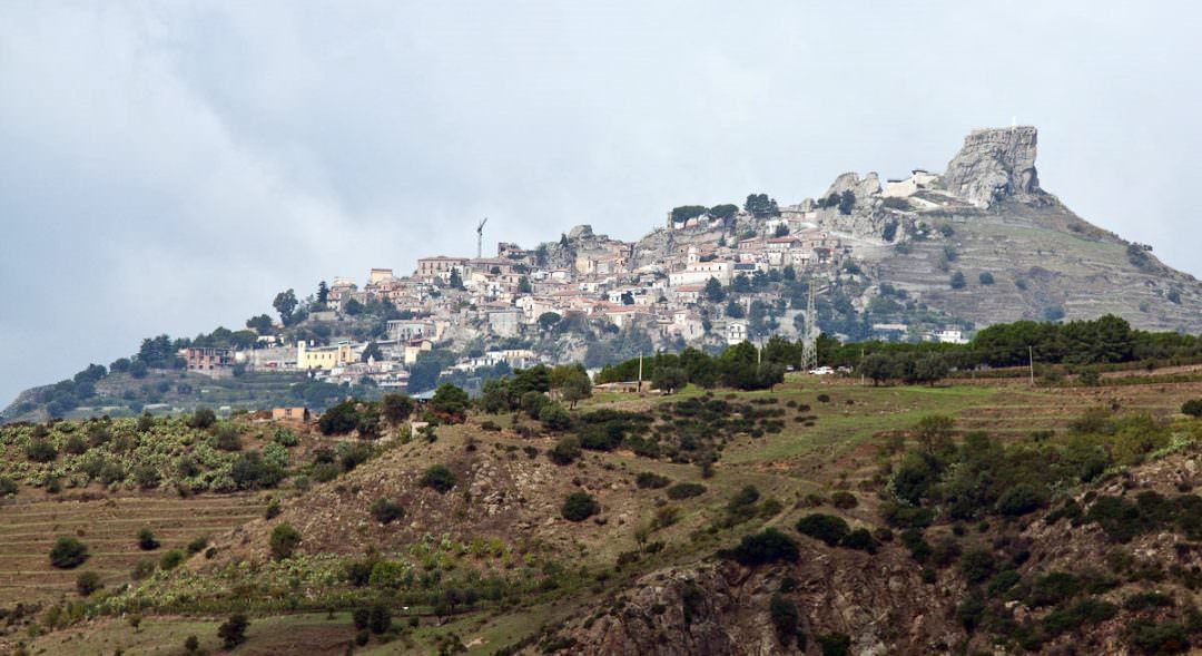 “Adotta il Greko”, l'iniziativa per salvare la lingua e l’identità della Calabria – VIDEO