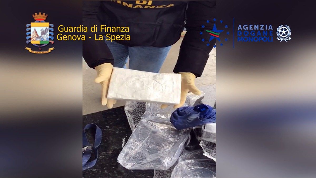 Un carico di coca da 100 milioni spedito dai clan calabresi e bloccato a La Spezia – VIDEO