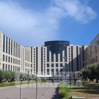 Lavoratori ex Lsu-Lpu, il 6 maggio vertice in Regione con Occhiuto