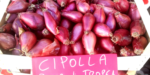 cipolla rossa tropea nocera amantea