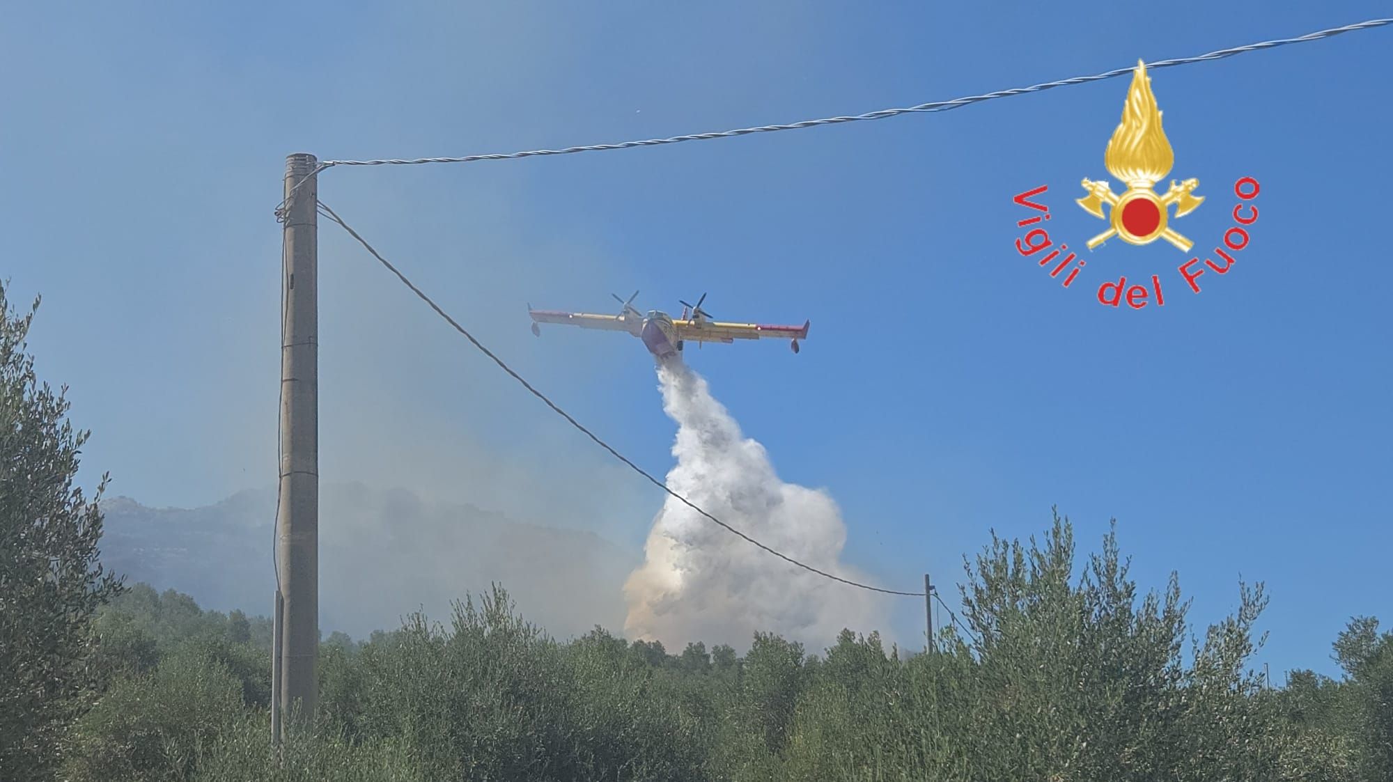 Borgia, incendio boschivo in località Cutruzzo – VIDEO