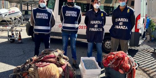 bianchetto lamezia denunce