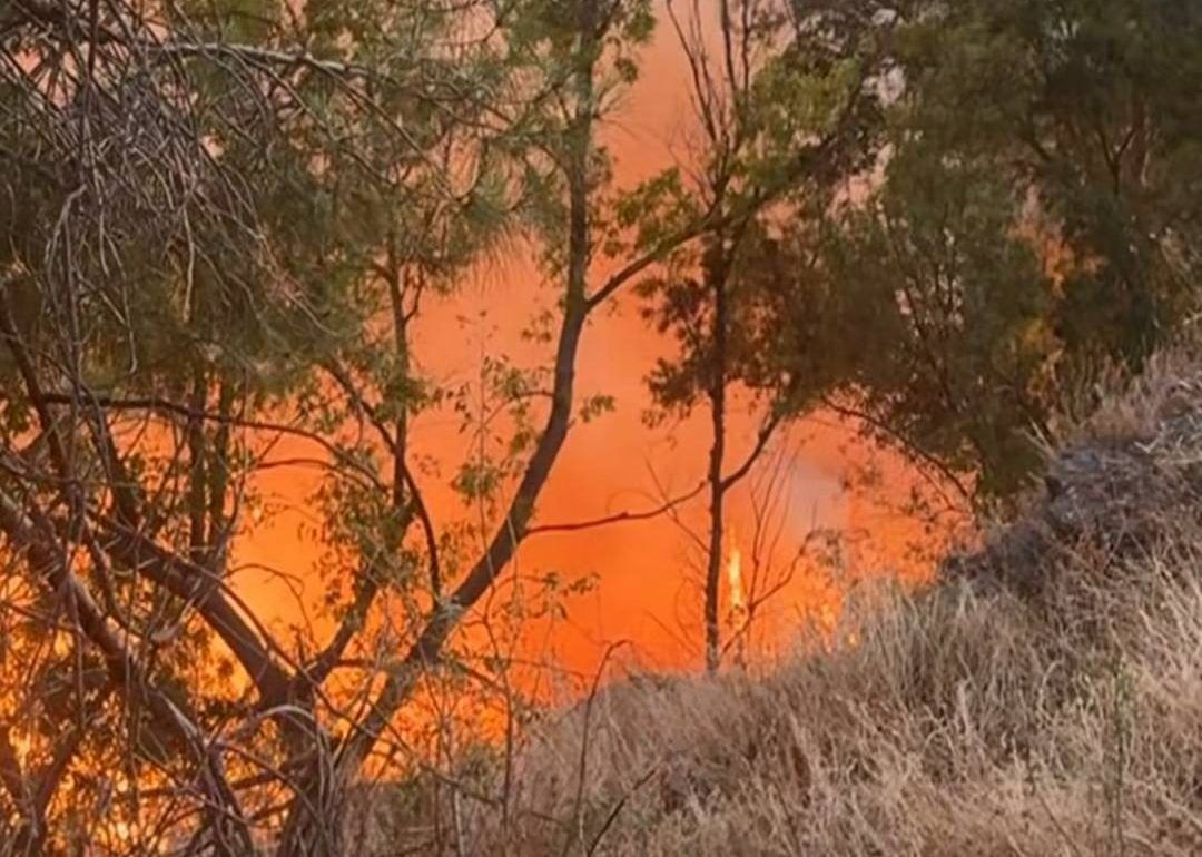 Allerta incendi, questa mattina 32 interventi in Calabria