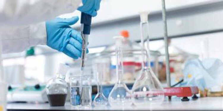 La scoperta “made in Calabria” che può battere la leucemia