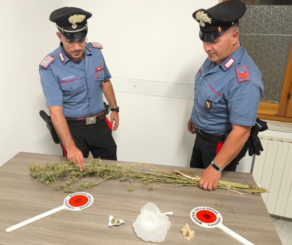 Droga in casa e piante di marijuana in un terreno di proprietà: arrestato 57enne nel Crotonese
