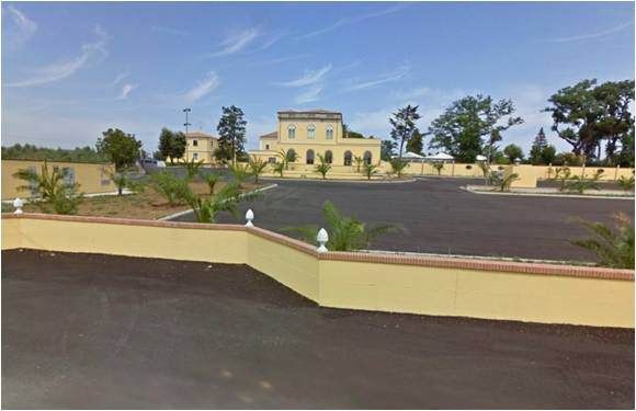 Le mani della Dia sul tesoro del re dell'olio