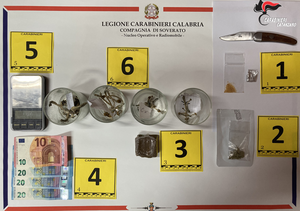 Spacciava hashish e funghi allucinogeni, un arresto a Petrizzi