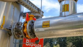 «Con il dl bollette biogas e biomasse rischiano lo stop alle attività»