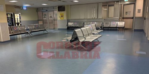 pronto soccorso lamezia aggressione