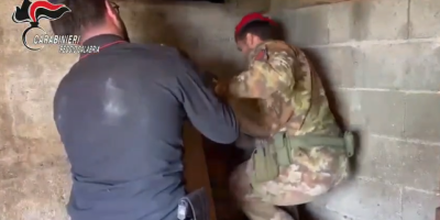 Scoperto un bunker con una maxi coltivazione di marijuana: blitz a Platì, 4 arresti – VIDEO