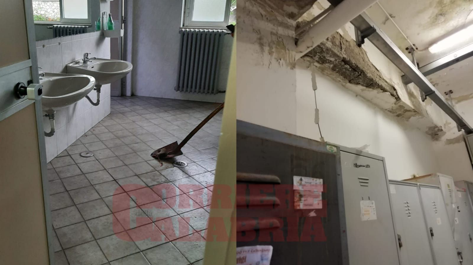 «Sedi sporche e invase dai topi». La denuncia dell’Usb dei Vigili del fuoco – FOTO