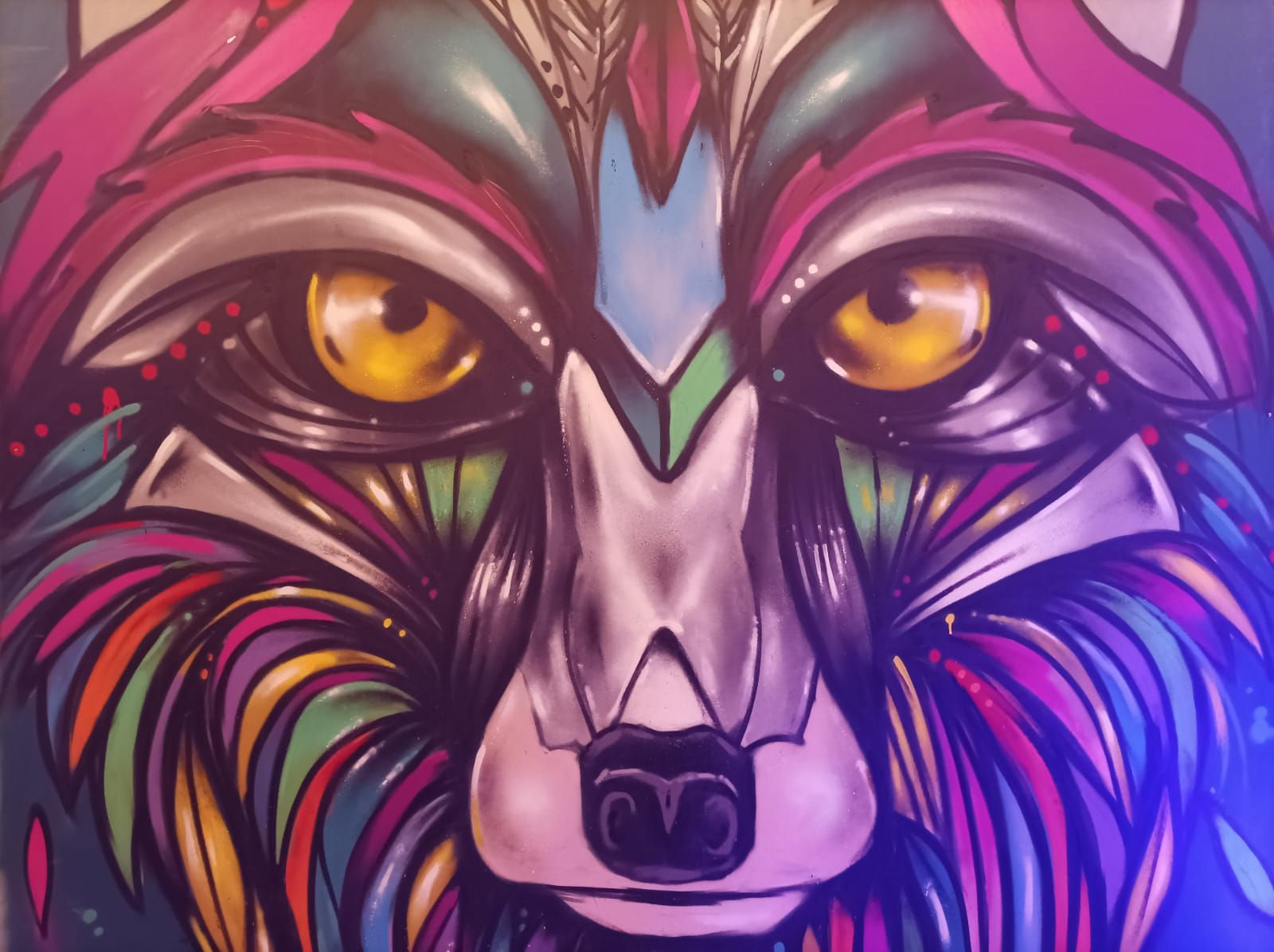 “Gaia”, “ANIMALI!” in mostra a Cosenza Vecchia – FOTO E VIDEO