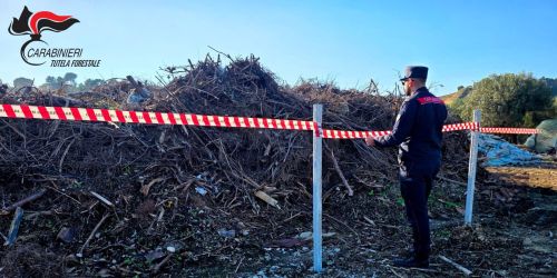 carabinieri forestale sequestro trebisacce