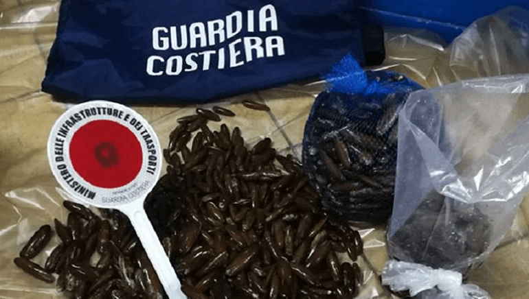 Pesca di frodo a Reggio, intervengono polizia e guardia costiera