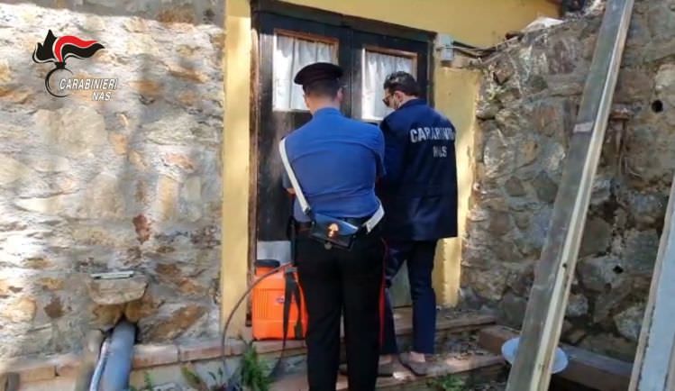 Truffa da 74mila euro e abusi edilizi per l'agriturismo, denunciato il sindaco di Cosoleto – VIDEO