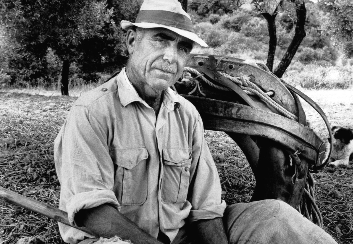 Melissa. Un passato che non passa