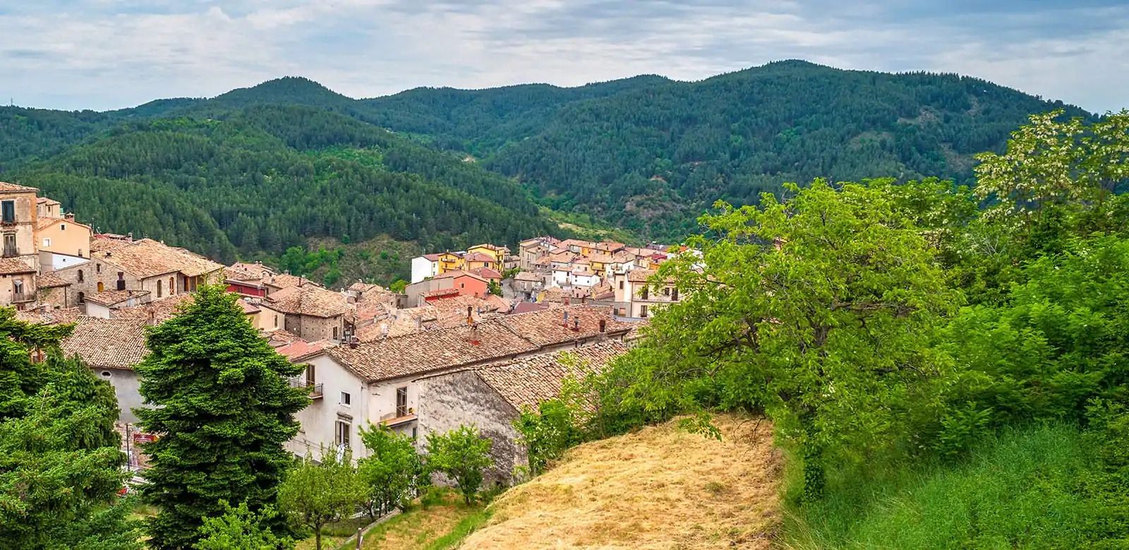 Ospedali montani della Calabria, il comitato “La cura” presenta le proposte per riqualificarli