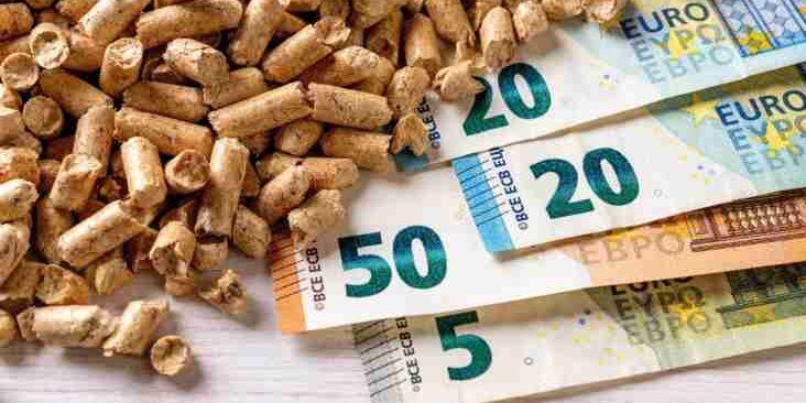 La società cartiera con sede legale in casa di un ignaro novantenne di Catanzaro