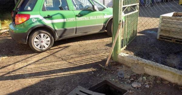 Liquami del frantoio nei terreni, denunciato il titolare