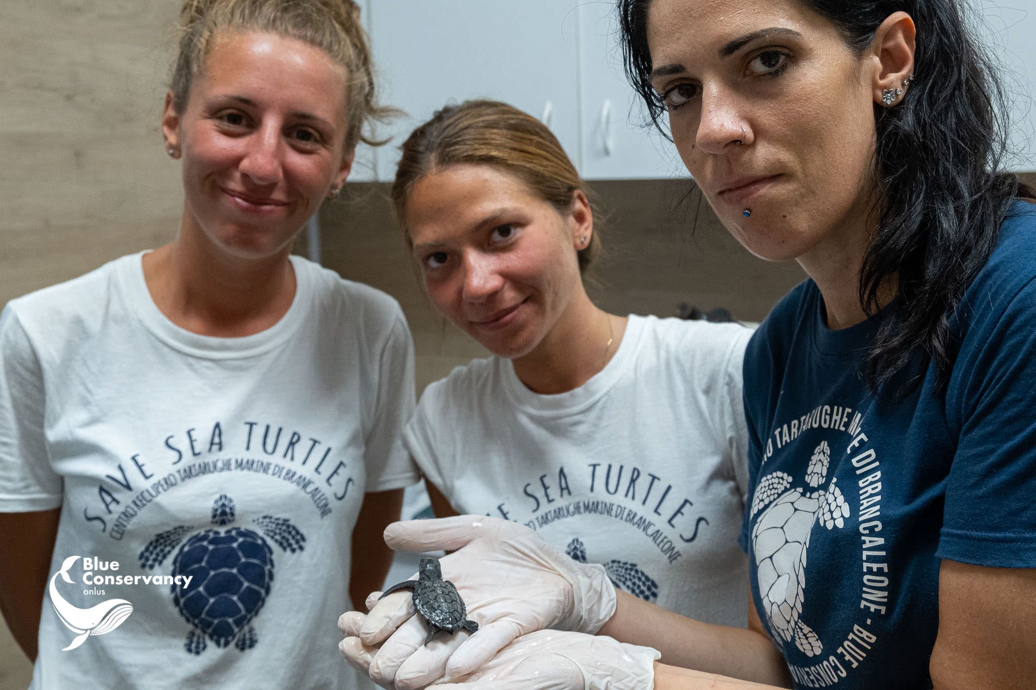 Pesa solo 17 grammi ma il suo stomaco è pieno di plastica