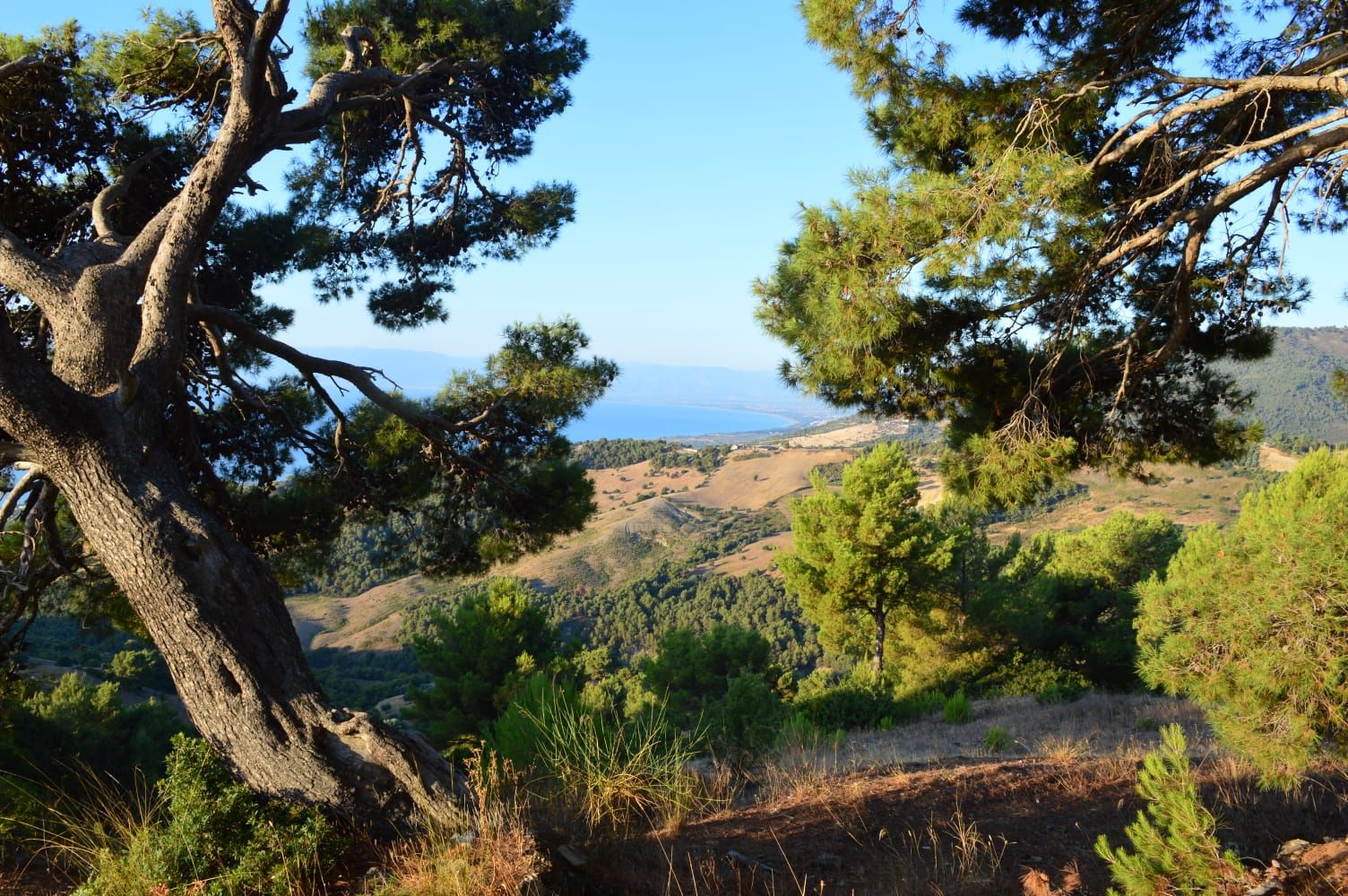 «Bocconiani trapiantati al Sud. L’ira della prof»